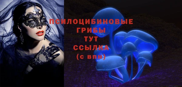 дживик Покачи