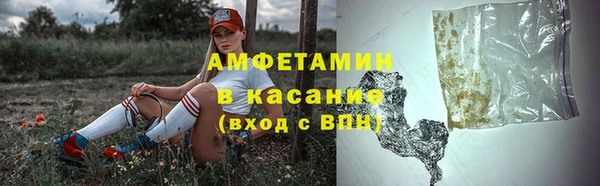 индика Абинск
