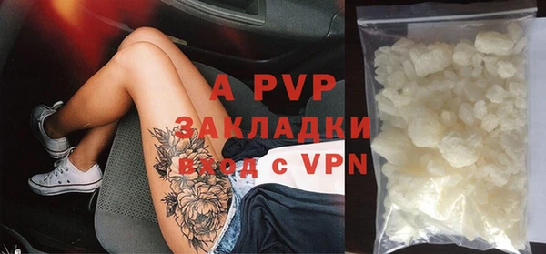 индика Абинск